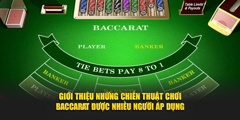 Giới thiệu những chiến thuật chơi Baccarat được nhiều người áp dụng